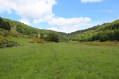 La vallée du Bonheur La vallée du Bonheur