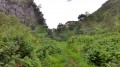 La vallée du Bras Patate La vallée du Bras Patate