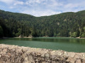 Lac d’Altenweiller Lac d’Altenweiller