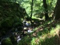 Ruisseau Ruisseau