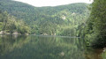 lac de l'Altenweiher lac de l'Altenweiher