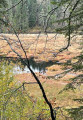 Lac de Lispach depuis le lac de Longemer Lac de Lispach depuis le lac de Longemer