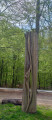 Parcours dans le Grünewald au Luxembourg Parcours dans le Grünewald au Luxembourg