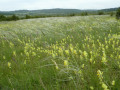Tournemire et les falaises du Larzac Tournemire et les falaises du Larzac