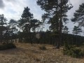 Le Mourre Nègre depuis Cabrières d'Aigues Le Mourre Nègre depuis Cabrières d'Aigues
