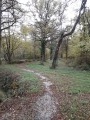 La Sologne autour de Jouy-le-Potier La Sologne autour de Jouy-le-Potier