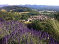 Sur les traces de l'ermite du Calvaire Sur les traces de l'ermite du Calvaire