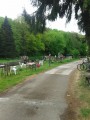 Le canal Le canal