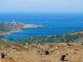 Le Cap Béar Le Cap Béar