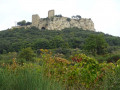 Le Château de Gicon Le Château de Gicon