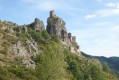 Le Château de Roche Bonne Le Château de Roche Bonne