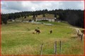 Le Chaume de Balveurche Le Chaume de Balveurche