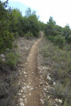 Le chemin dans la forêt Le chemin dans la forêt