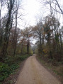 Le chemin des marnières depuis Mezières-lez-Cléry Le chemin des marnières depuis Mezières-lez-Cléry