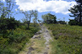 Boucle sur les hauteurs du Pilat Boucle sur les hauteurs du Pilat