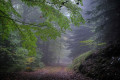 Chemin du Tarnon Chemin du Tarnon