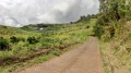 Le tour du Piton Rouge par les chemins Mélina et Queue de Cheval Le tour du Piton Rouge par les chemins Mélina et Queue de Cheval