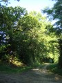Le chemin vers les Ligers Le chemin vers les Ligers