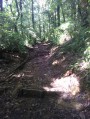 le chemin le chemin