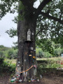 Gare à gare : de Viroflay-Rive-Gauche à Bellevue, par le Bois de Meudon Gare à gare : de Viroflay-Rive-Gauche à Bellevue, par le Bois de Meudon