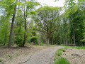De Spa à Franchimont en boucle De Spa à Franchimont en boucle