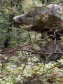 Forêt de Fontainebleau : Croix du Calvaire, Tour Denecourt et Roche Eponge Forêt de Fontainebleau : Croix du Calvaire, Tour Denecourt et Roche Eponge