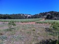 Le domaine des Pujols Le domaine des Pujols
