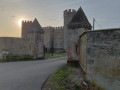 Châteaux de Hombourg : le vrai, le faux et la ruine Châteaux de Hombourg : le vrai, le faux et la ruine