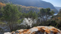 Boucle Vic par le Pont Saint-Nicolas Boucle Vic par le Pont Saint-Nicolas