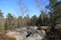 Randonnée en forêt de Fontainebleau : le tour des Gorges d'Apremont Randonnée en forêt de Fontainebleau : le tour des Gorges d'Apremont