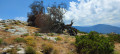 Boucle de Monte Castellare Boucle de Monte Castellare