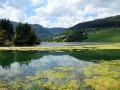 La Combe de Biaufond La Combe de Biaufond