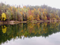 Alter See, Tristacher See et retour à Amlach par la Fontaine Pinocchio Alter See, Tristacher See et retour à Amlach par la Fontaine Pinocchio