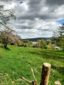 Le lac de Vielsalm Le lac de Vielsalm