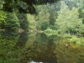 De Mittlach au Lac de Fischboedle De Mittlach au Lac de Fischboedle