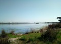 Le long de l'étang Le long de l'étang