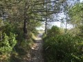 Sur les hauteurs de Velleron Sur les hauteurs de Velleron