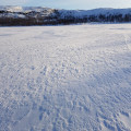 Le long des berges du lac Le long des berges du lac