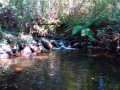 Le long du Rio Uima Le long du Rio Uima