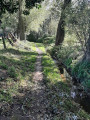 Le long du Ruisseau du Marais Le long du Ruisseau du Marais