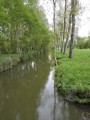 Le Marais Sauvage entre Damvix et la Rivière Le Marais Sauvage entre Damvix et la Rivière
