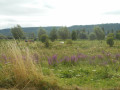 Autour du Mesnil-sous-Jumièges Autour du Mesnil-sous-Jumièges