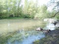 L'ancien méandre. L'ancien méandre.