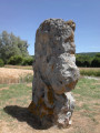 Congy, Étoges ,Toulon-la-Montagne par le GRP® Thibaut de Champagne Congy, Étoges ,Toulon-la-Montagne par le GRP® Thibaut de Champagne