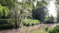 Le Molenbeek à la hauteur du Parc Roi Baudouin Le Molenbeek à la hauteur du Parc Roi Baudouin