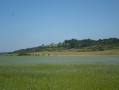 Le Mont Landrin Le Mont Landrin