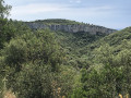 Le Mourel Nègre Le Mourel Nègre