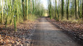 Le Parc de Lomme à Lille Le Parc de Lomme à Lille