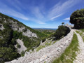 Sur les crêtes du Grand Luberon Sur les crêtes du Grand Luberon