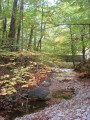 Le petit pont de bois Le petit pont de bois